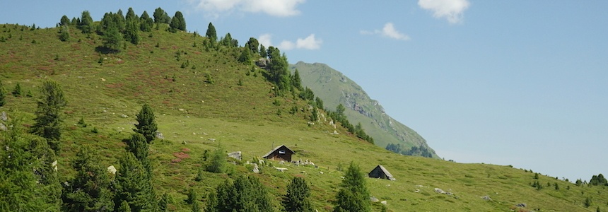 Hütten für 8 Personen in Österreich mieten